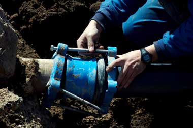 Tree root removal in Naples, FL